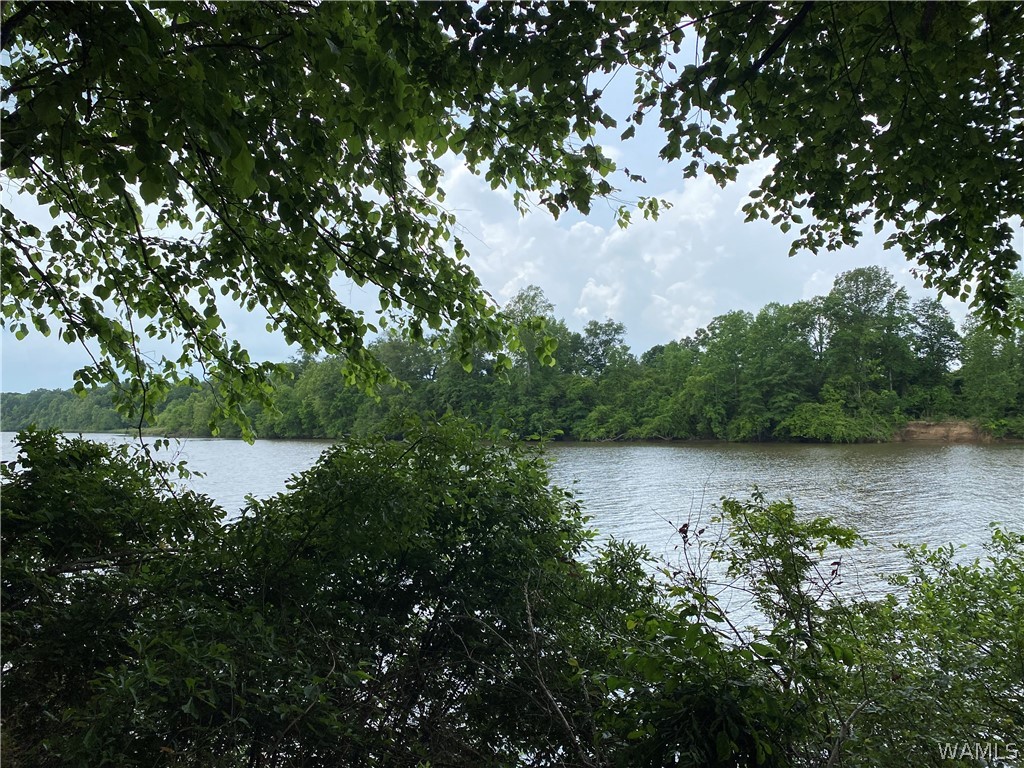 000 Bass Drive, Eutaw, Alabama image 1