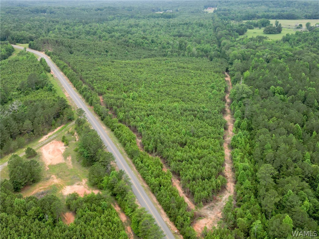 Lot 3 John Swindle Road, North Port, Alabama image 8