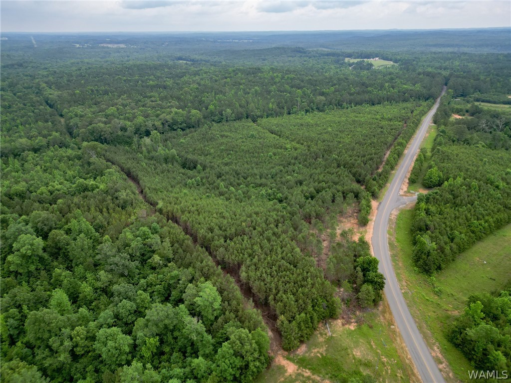 Lot 3 John Swindle Road, North Port, Alabama image 14