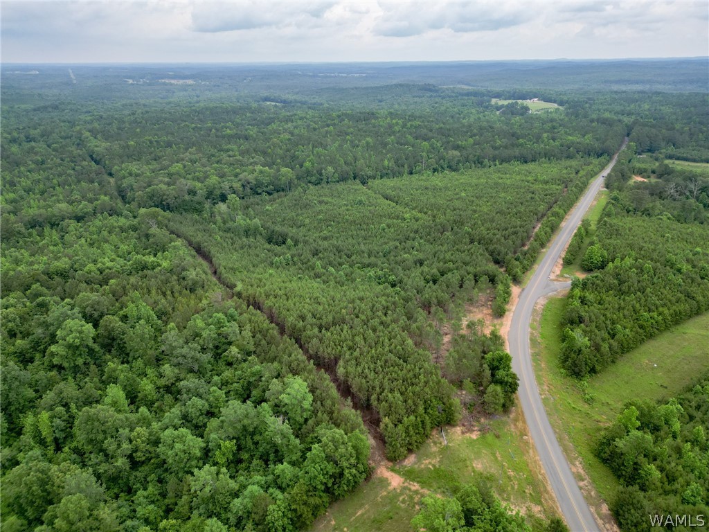 Lot 3 John Swindle Road, North Port, Alabama image 16