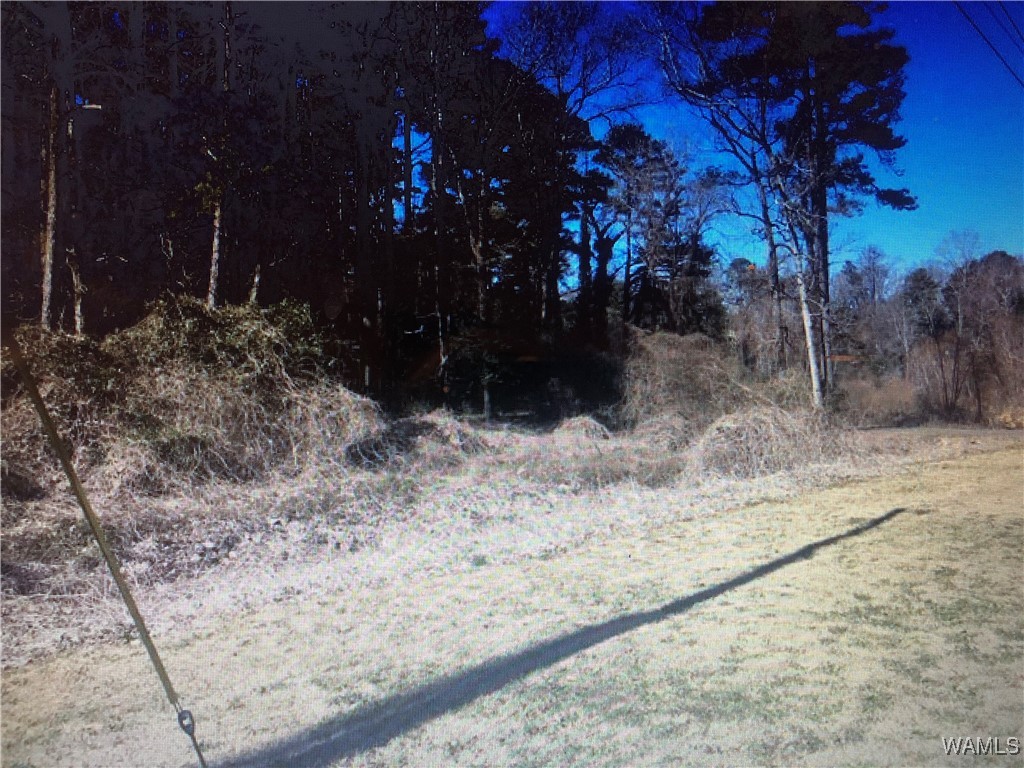 Woodland Rd, Tuscaloosa, Alabama image 1