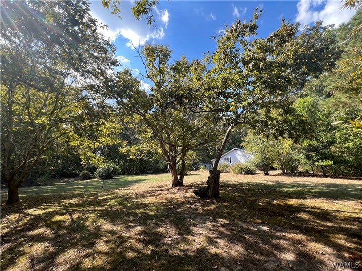 Photo 1 of 40 — 1453 Mount Moriah Church Road, Ethelsville, AL 35461