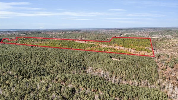 ADDRESS PRIVATE, SULLIGENT, AL 35586 - Image 7c796be7e0841b57a8ea5bfbfcb0446d/1956763232