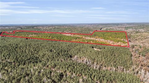 Vacant Land For Sale - 0000 Co Rd 30<br/> State, AL 35586