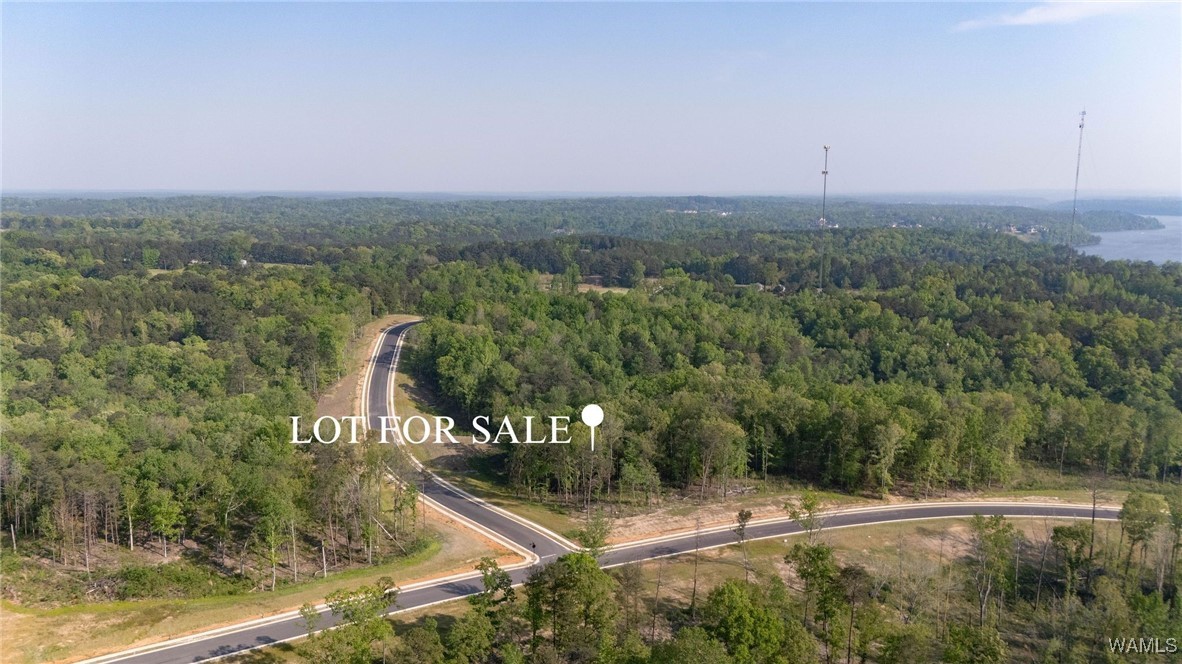 7 Lake Island Road Dr, Tuscaloosa, Alabama image 2