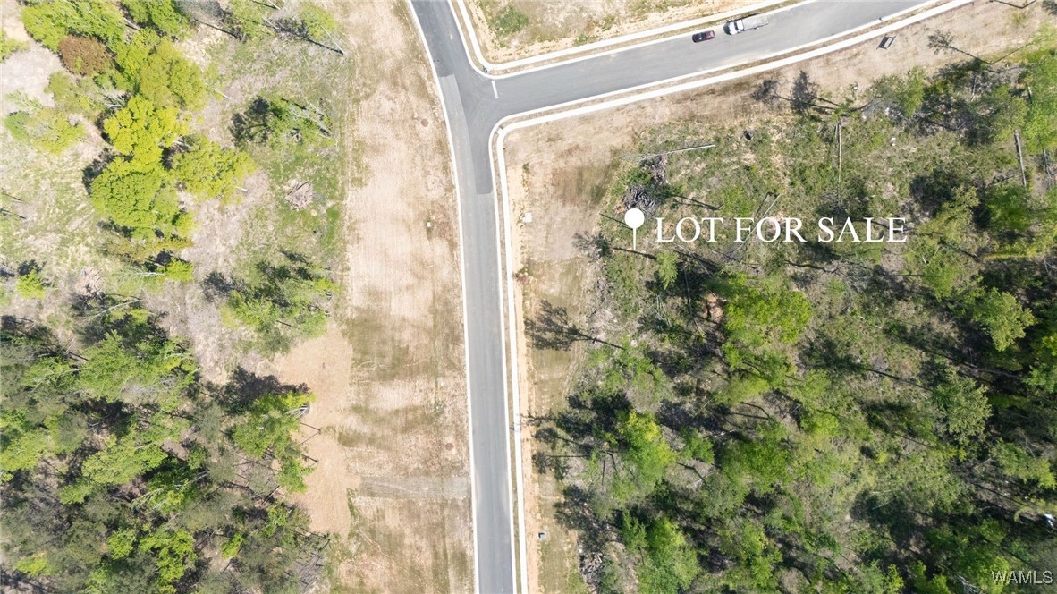 7 Lake Island Road Dr, Tuscaloosa, Alabama image 3