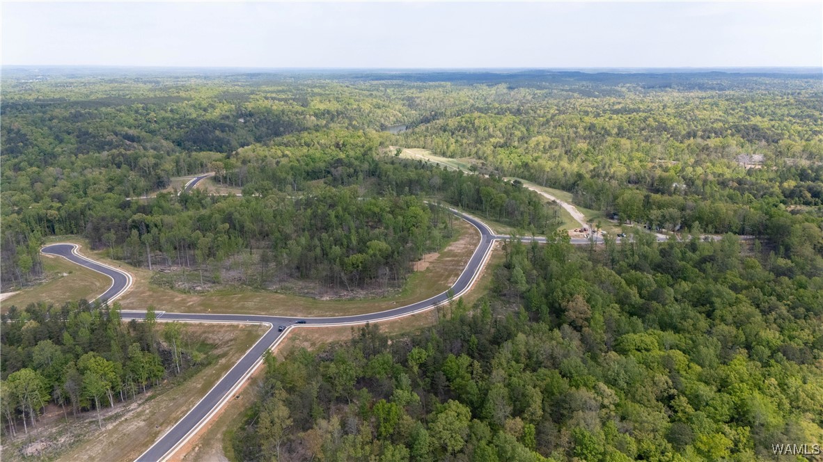 7 Lake Island Road Dr, Tuscaloosa, Alabama image 14