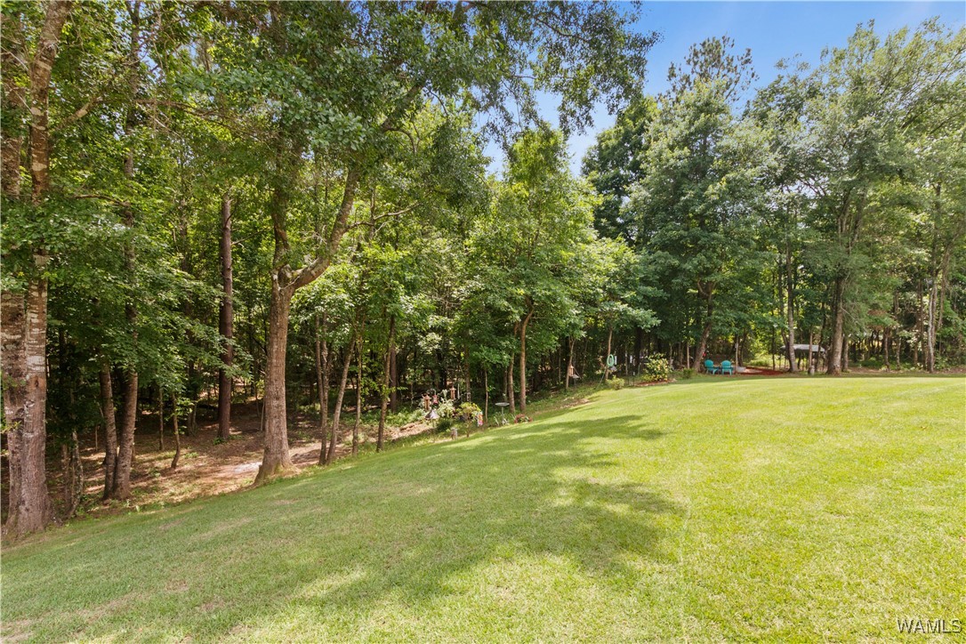 10488 Nicole Street, Vance, Alabama image 7