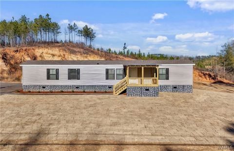 Homes For Sale - 3198 University Way<br/> Centreville, AL 35042