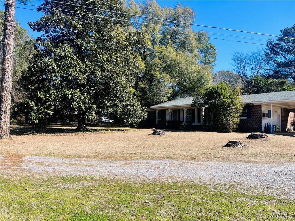 117 Smith Avenue, Livingston, Alabama image 5