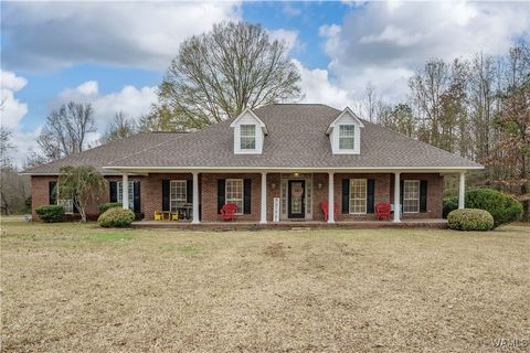 7950 Highway 96 Belk AL 35555