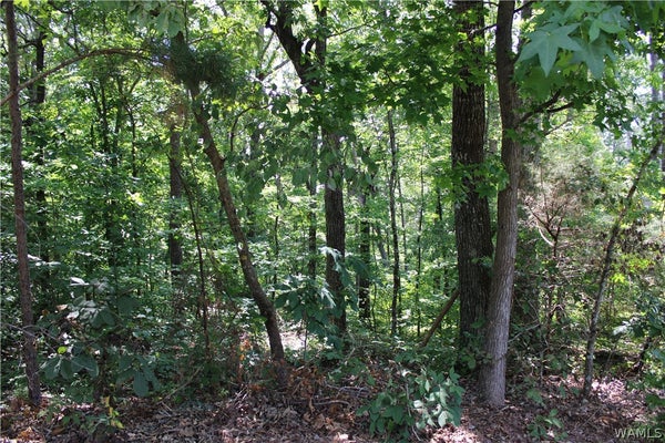 5 OAK FOREST DR, BIRMINGHAM, AL 35217 - Image 7ed5e8e811f26f0feff7d77c213ed30a/37873338