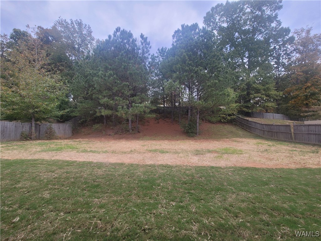 15734 April Lane Ln, Brookwood, Alabama image 14