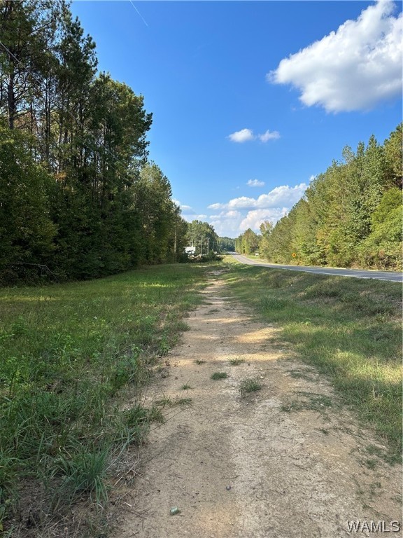 19394 Hwy 43, North Port, Alabama image 7