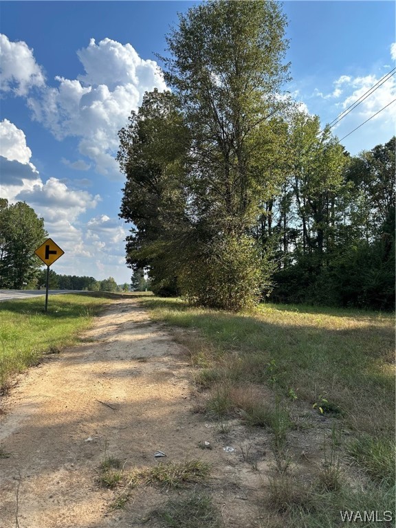 19394 Hwy 43, North Port, Alabama image 6