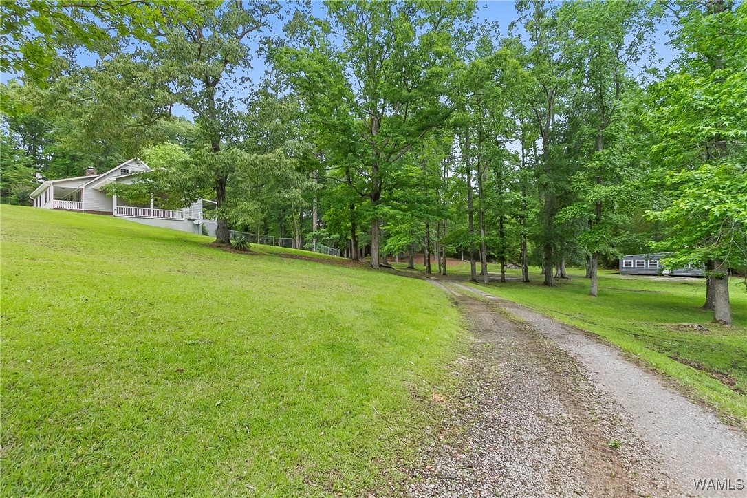 10884 W Manor Drive, Cottondale, Alabama image 34