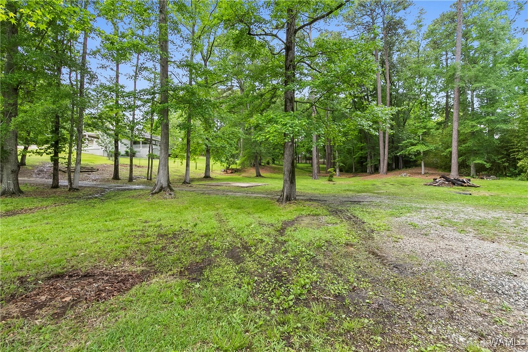 10884 W Manor Drive, Cottondale, Alabama image 36