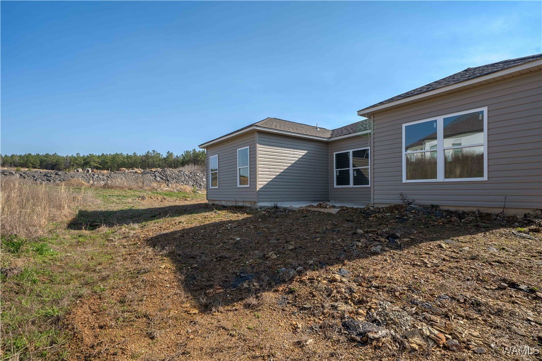 10376 Squires Way, Brookwood, Alabama image 28