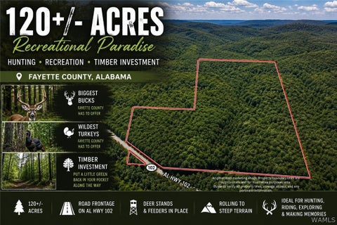 Vacant Land For Sale - 000 Al Hwy 102<br/> Fayette County, Carbon Hill, AL 35549