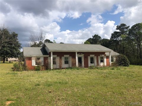 Homes For Sale - 9301 Skyview Drive<br/> Cottondale, AL 35453