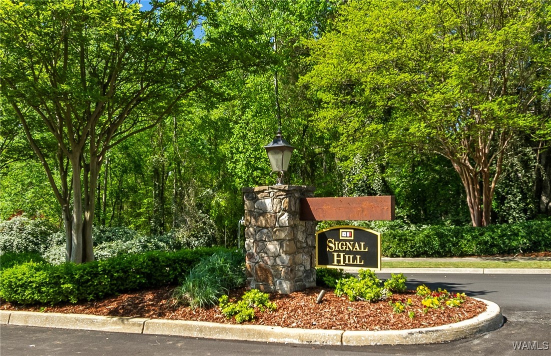 31 Signal Hill, Tuscaloosa, Alabama image 2
