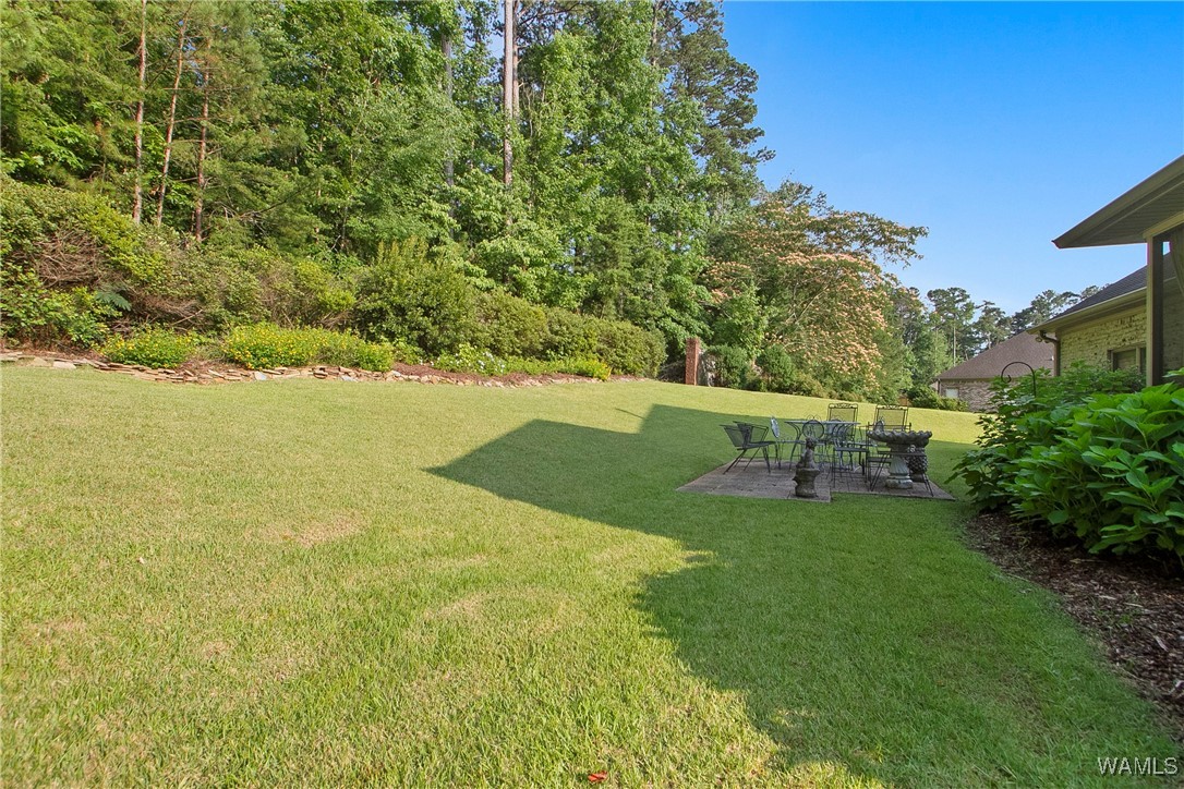 31 Signal Hill, Tuscaloosa, Alabama image 7