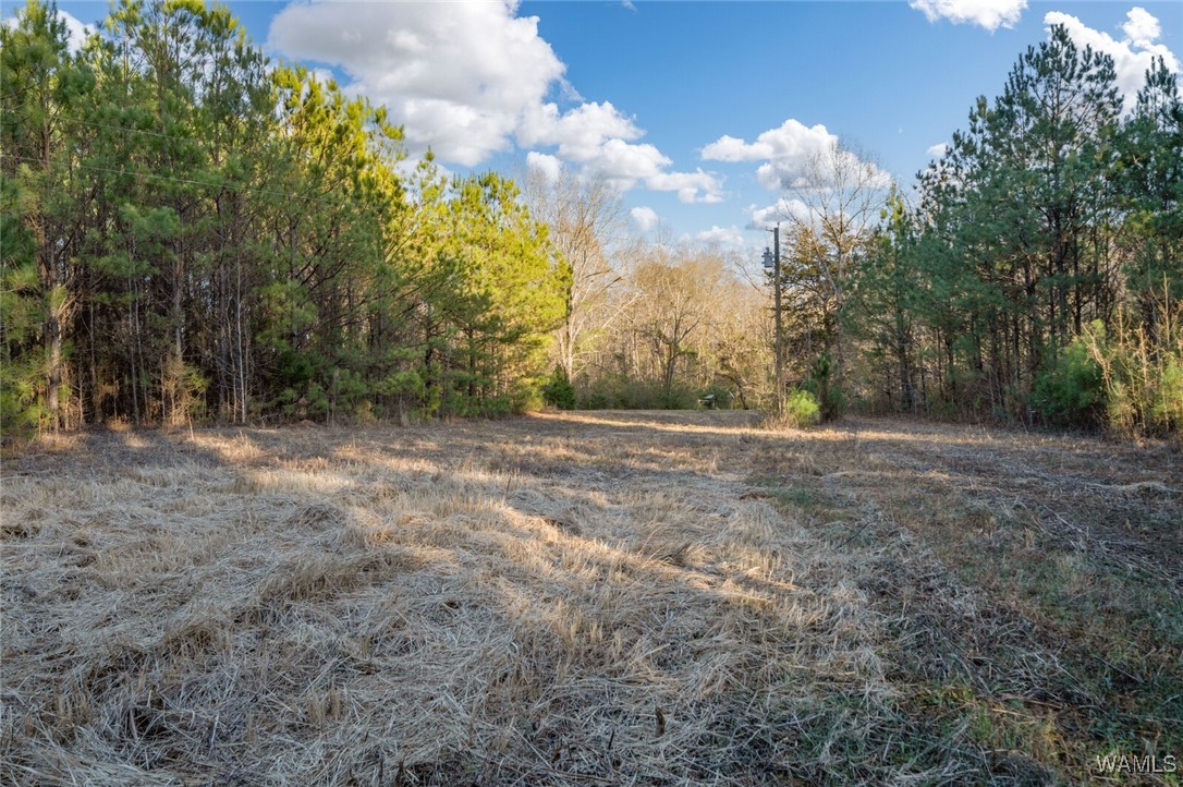 808 County Road 5, Akron, Alabama image 35