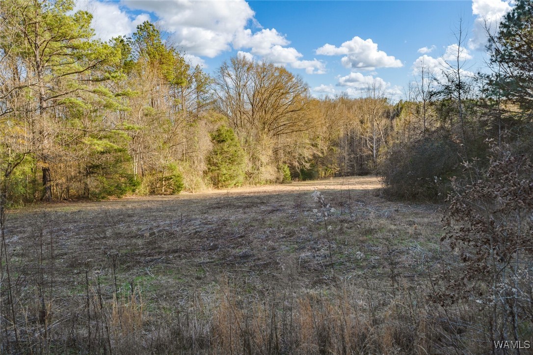 808 County Road 5, Akron, Alabama image 36