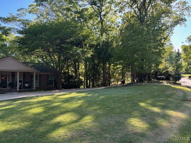 4233 Hillsboro Drive, Tuscaloosa, Alabama image 12