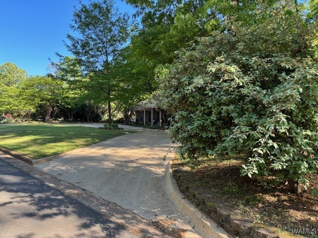 4233 Hillsboro Drive, Tuscaloosa, Alabama image 11