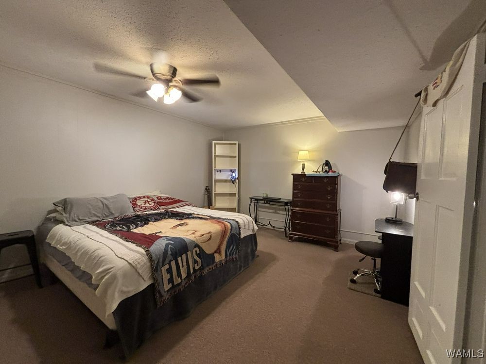 4233 Hillsboro Drive, Tuscaloosa, Alabama image 47