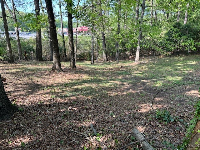 4233 Hillsboro Drive, Tuscaloosa, Alabama image 14