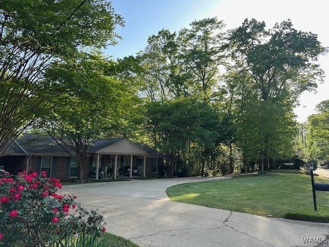 4233 Hillsboro Drive, Tuscaloosa, Alabama image 9