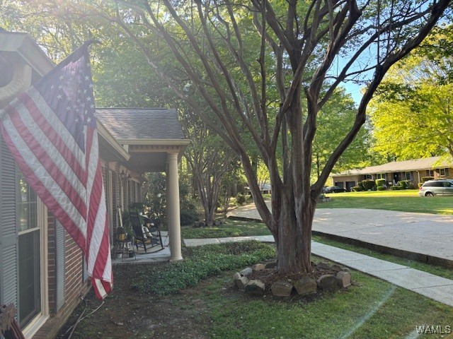 4233 Hillsboro Drive, Tuscaloosa, Alabama image 10
