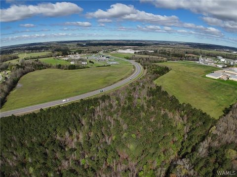 Vacant Land For Sale - Joe Mallisham Parkway Parkway<br/> Tuscaloosa, AL 35401