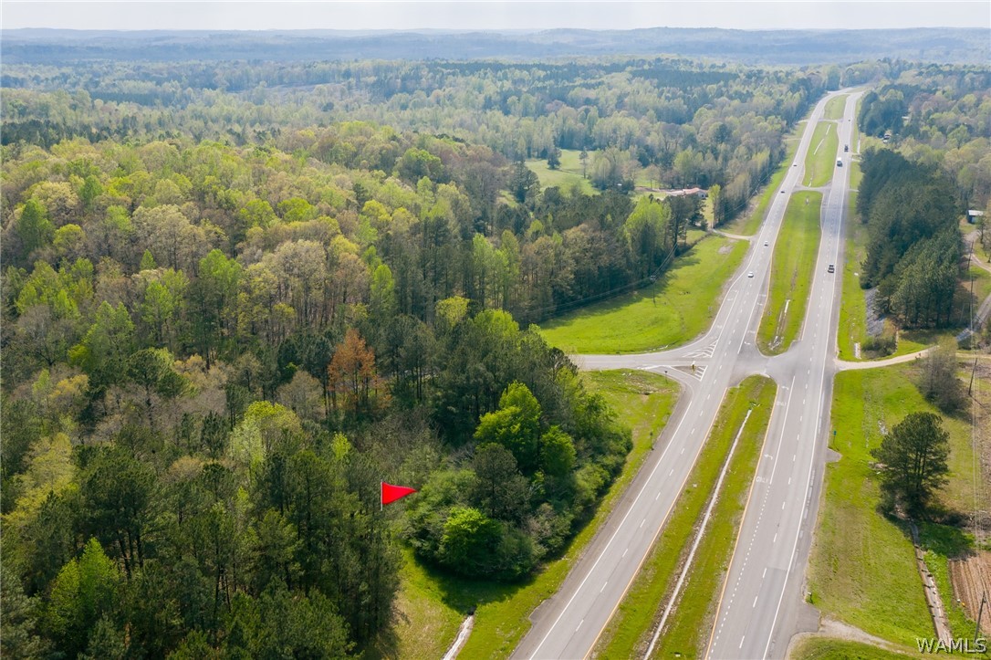 000 Highway 82, Centreville, Alabama image 9