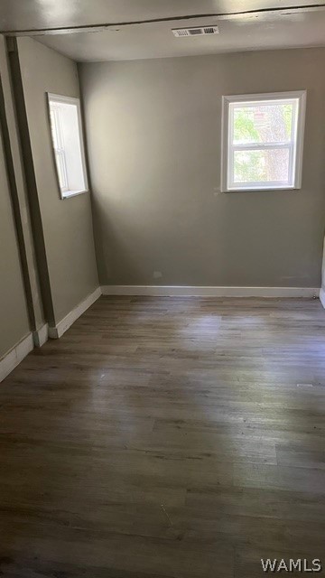 570 Camellia