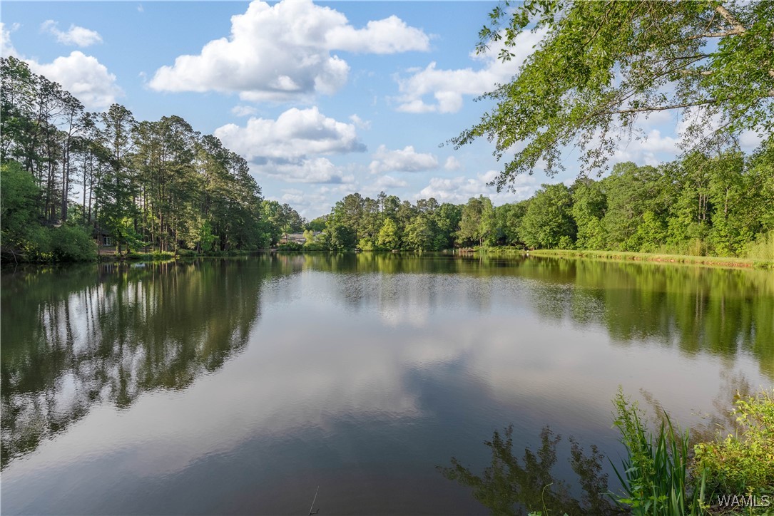 708 Sable Lane, North Port, Alabama image 34