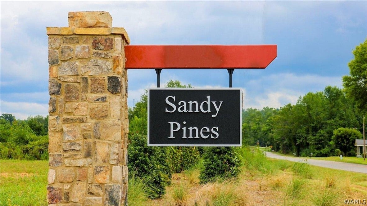 14648 Big Sandy Court