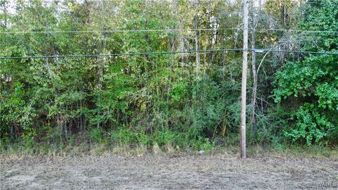 Vacant Land For Sale - 52nd St<br/> Tuscaloosa, AL 35401
