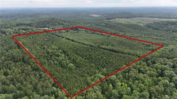 SKYVIEW DR, COTTONDALE, AL 35453 - Image 87eb8b6c77fcb1dc2cbc6e3898df3bd5/1716333083