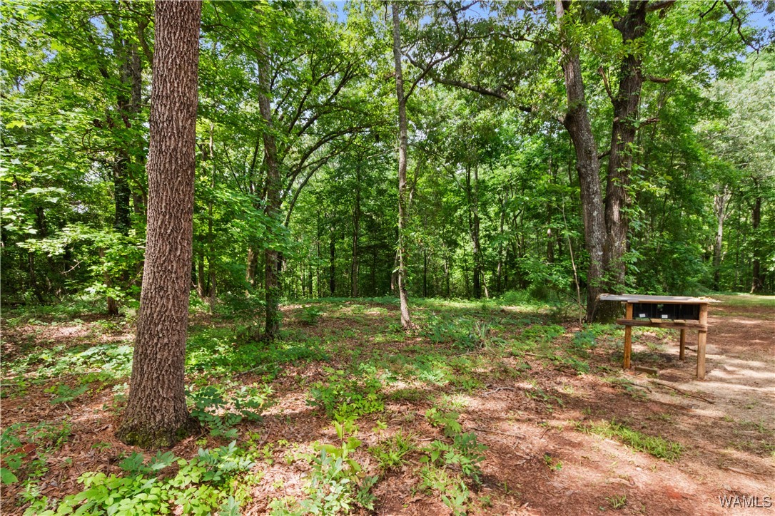133 Castlewood Drive, Greensboro, Alabama image 28