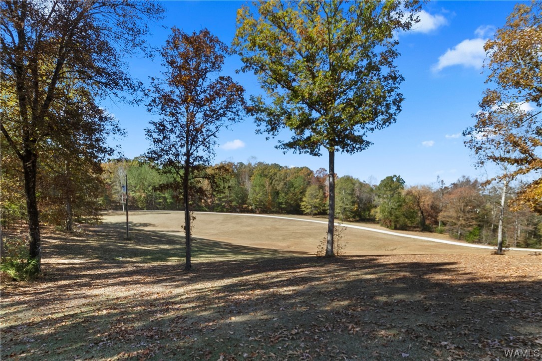 1038 Cahaba Ridge, Centreville, Alabama image 48