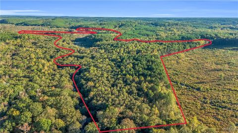 Vacant Land For Sale - TBD Snake Branch Rd<br/> Lamar County, Vernon, AL 35592