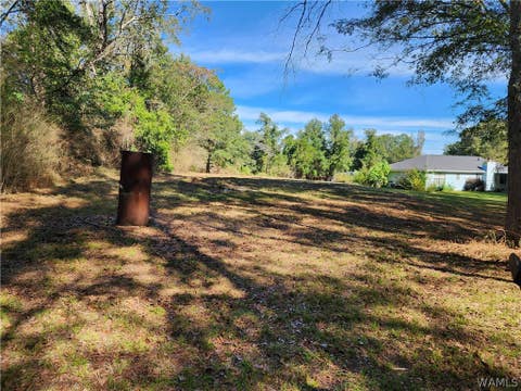 Vacant Land For Sale - Hurricane Road<br/> Cottondale, AL 35453