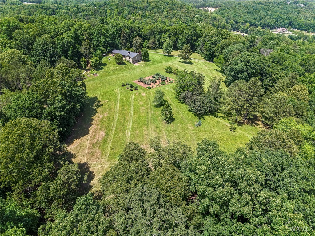 102 Katie Lane, Trussville, Alabama image 41