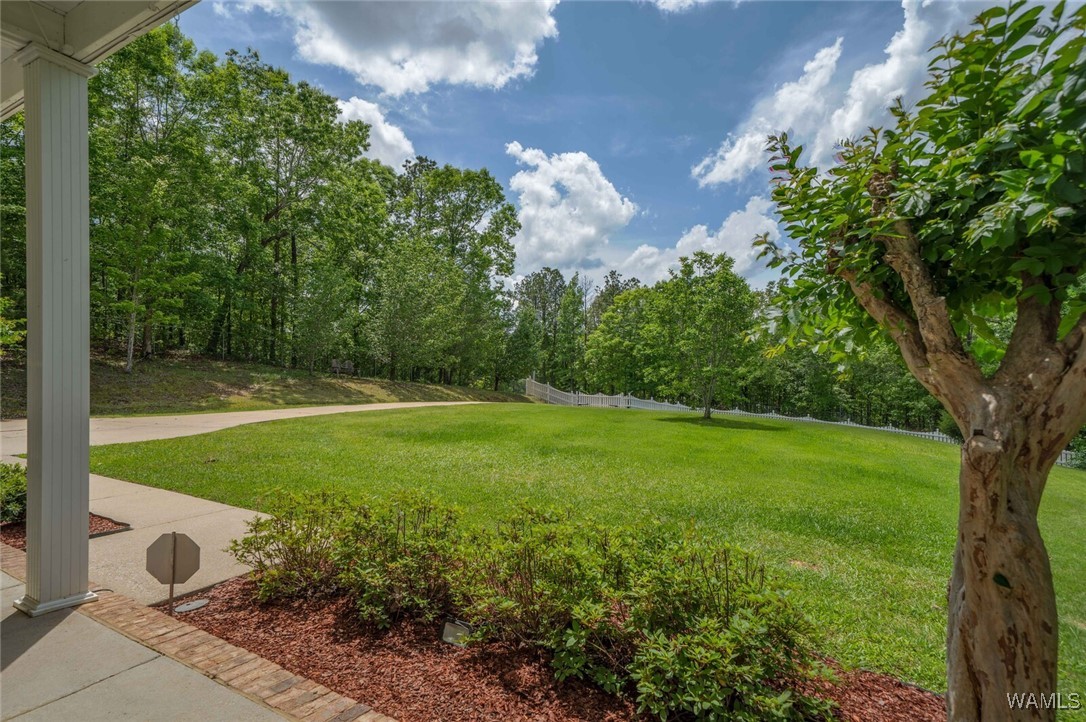 12423 Timber Heights Road, Ralph, Alabama image 12