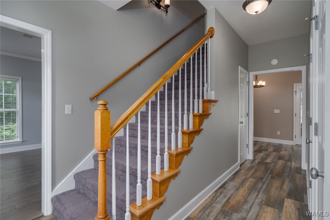 12423 Timber Heights Road, Ralph, Alabama image 35