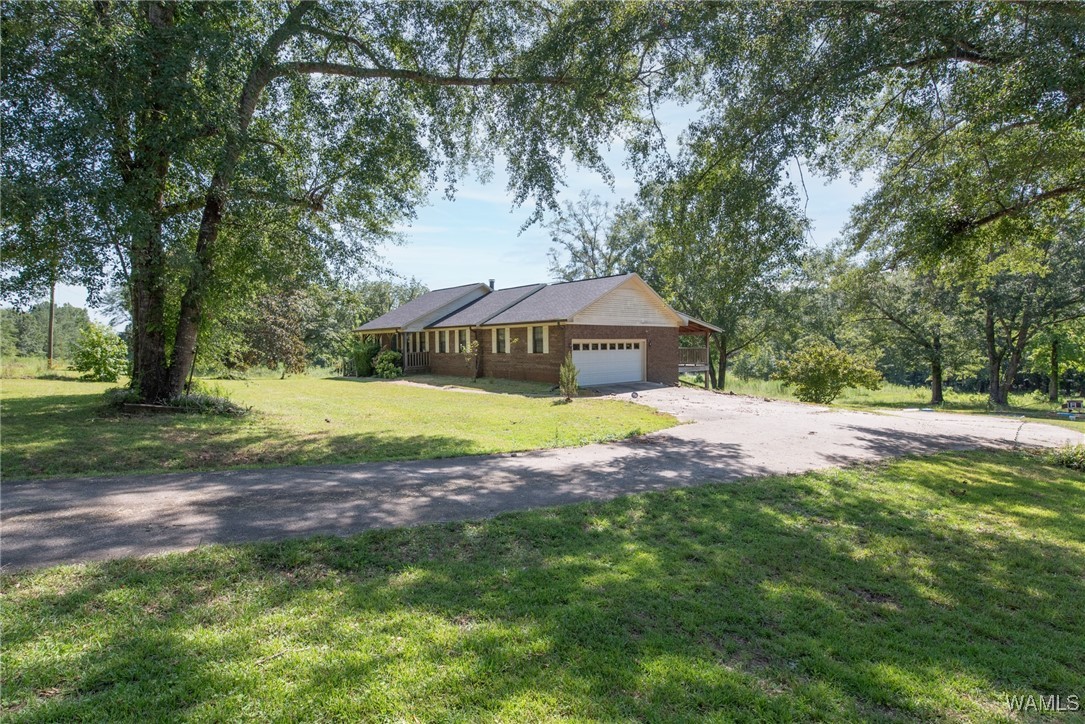 23367 Hwy 219, Centreville, Alabama image 4