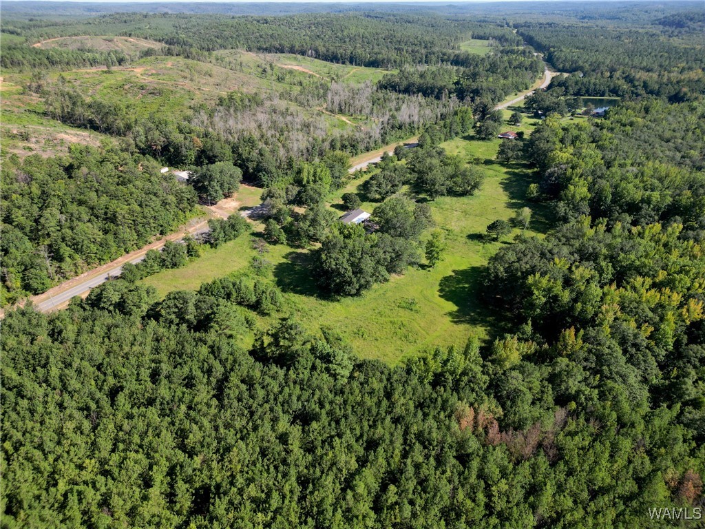 23367 Hwy 219, Centreville, Alabama image 49